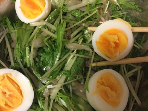 たまご【卵】とゴボウと水菜のサラダ
